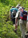 Kellerwald (14)